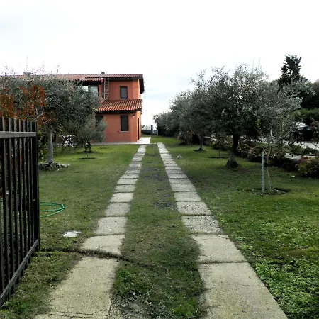 Ajo Faci A Mari